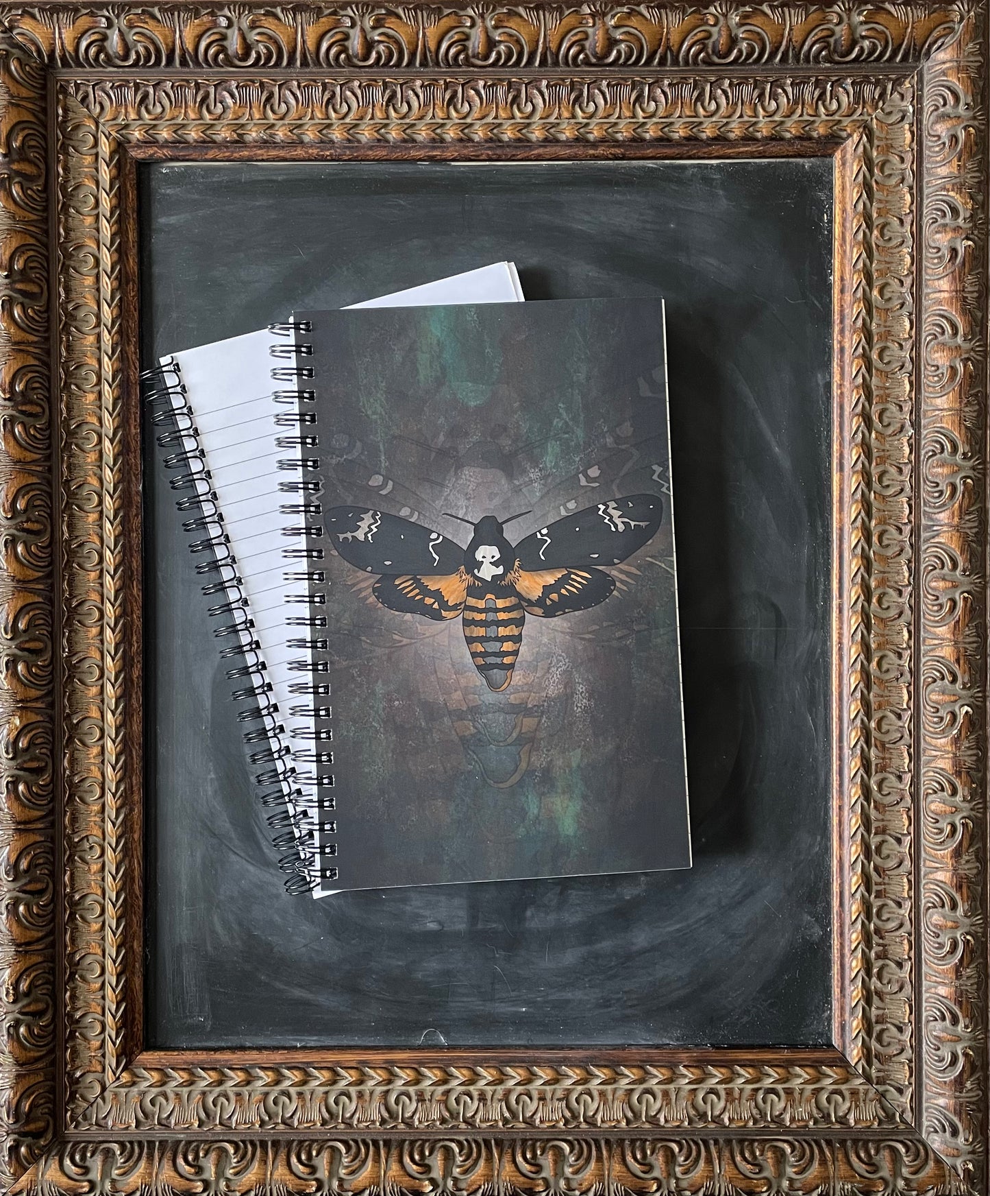 Moth Notebook