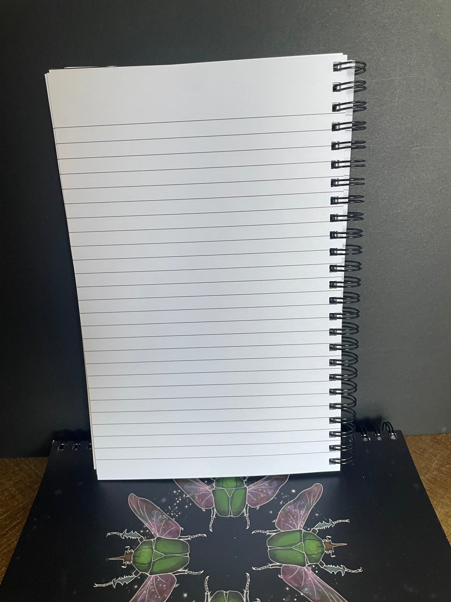 Magic Beetle Notebook